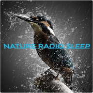 NATURE RADIO SLEEP favicon